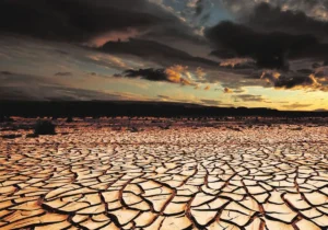 Cambio climático